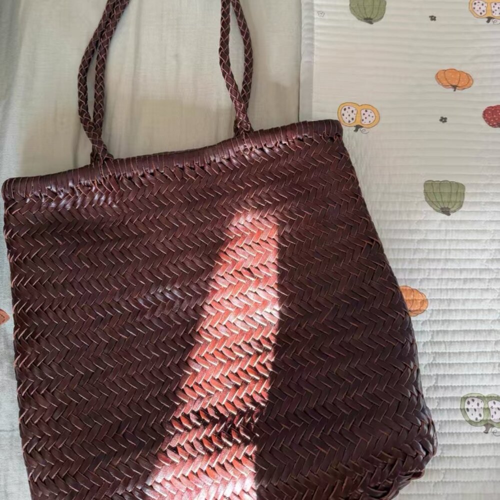 Dragon Diffusion Brown Single-shoulder bag - image 1